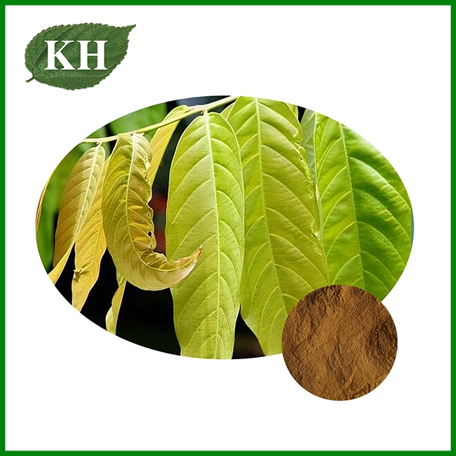 Mango Leaf Extract Powder